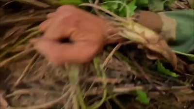 Gangaw District 3, 5, and 6 PDF SAW Battalions and Minbu District Drone Force Attack Junta Forces at the Saw Township Police Station, Magway [December 28-31, 2024]