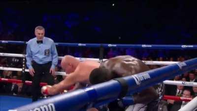 Deontay Wilder brutally KOs Artur Szpilka with a sniper right hand. Hardest punch in boxing?