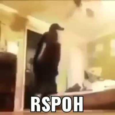 RSPOH (not mine lmao)