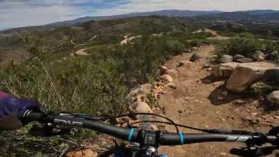 Separated shoulder and fractured clavicle