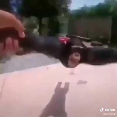 Con calidad de imagen🥰🥰