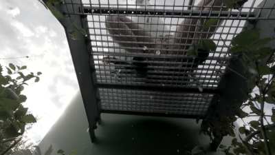 Peeing outside is more fun