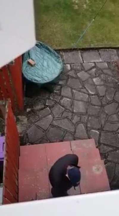 Inattentive house-thief gets what's coming to him.