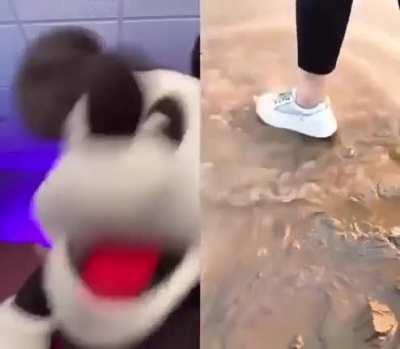 Nice white shOOOOOOOOOOOOO