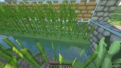 I am a minecraft noob and can't get minecart hoppers to pick things up off above blocks, what am I doing wrong?