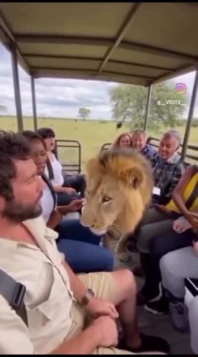 Even Masha likes to wear masks to scare people.