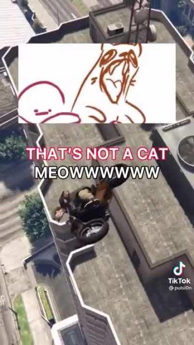 jakertown - Video #6474