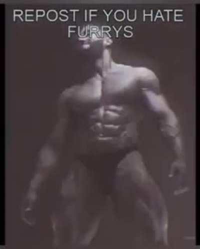 Furry bad