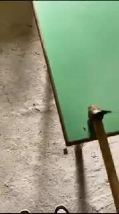 bro almost summoned the Soviet Union 💀💀💀