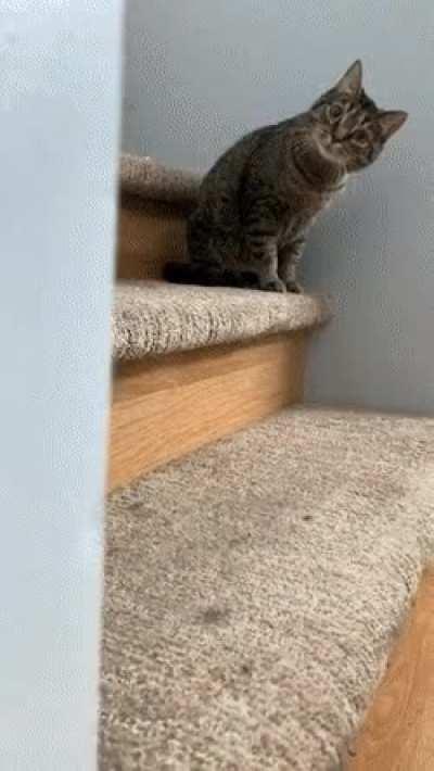 I love it when they do that