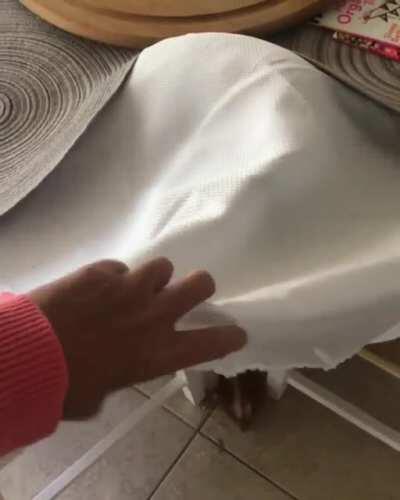 Hiding in plain sight. She thinks she’s slick