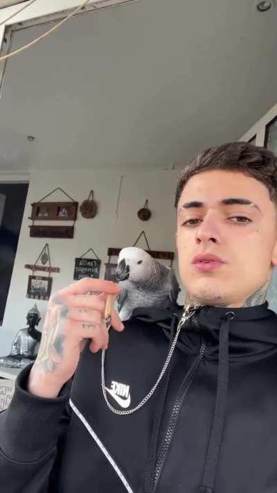 hey take some of that shit out