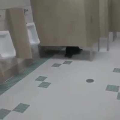 Confirmen precios para ver que estado es el mas jodido con la inflación.