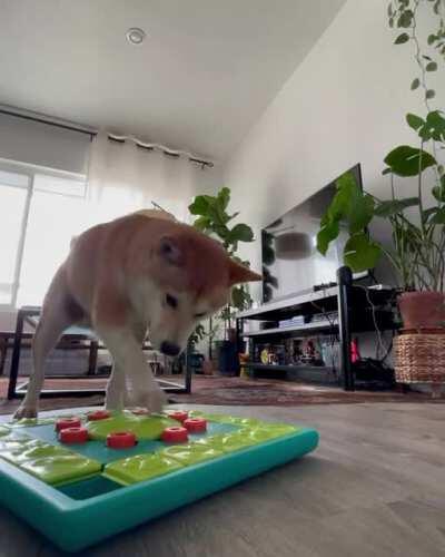 Guarantee to keep them busy for hours !! Hardest puzzle game in the series 😂