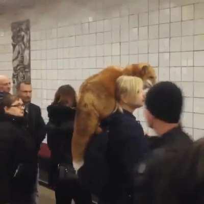 A normal day in Russia