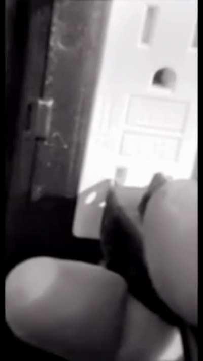 Traded my first born to fix a loose cable…