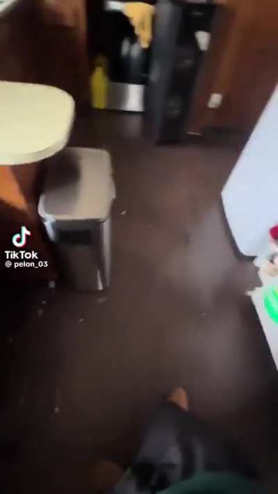 History repeats itself