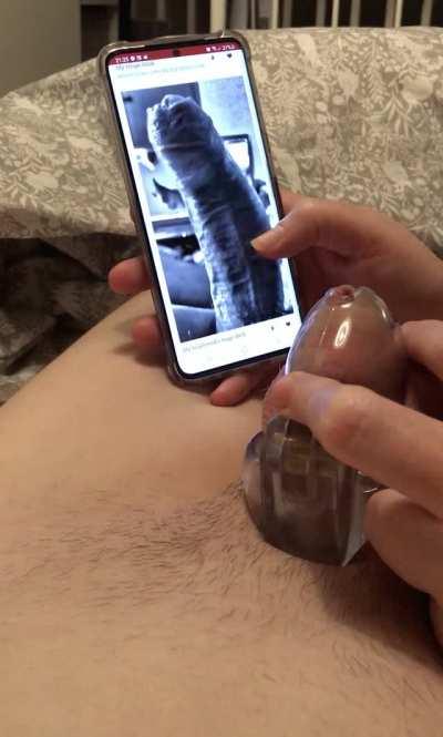 Holding his cage with two fingers whilst browsing big dicks in front of him 😏