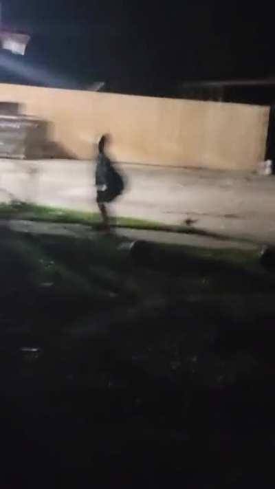 what the fuck is on my property