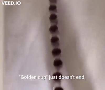 moldy tea experiment