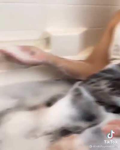 Продолжение 