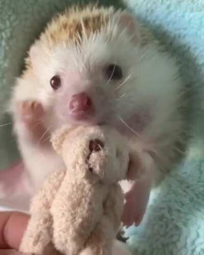 Hedgehug