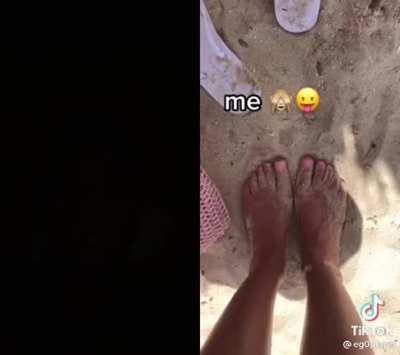 🦆🦆🦆🦆🦆🦆🦆🦆🦆🦆🦆🦆