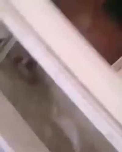 Boys and their toys!