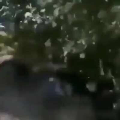 Igor has left the game! Vladimir has left the game