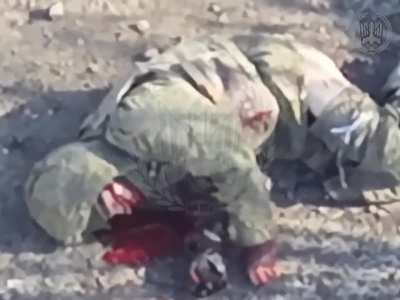 Multiple russian invaders were eliminated by FPV drones of the Ukrainian “Wormbusters” unit of the 414th UAS Brigade “Magyar's Birds.” 13.04.2026