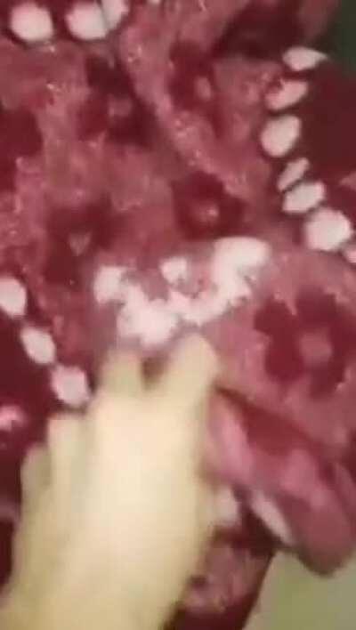 Was going through grandpa's old stuff