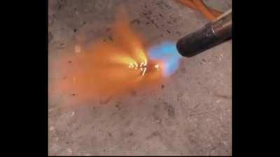 Why did he do mr cockroach like that