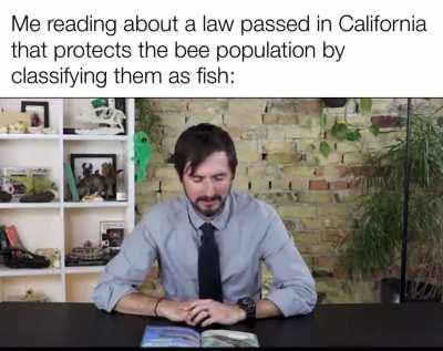 Most sensible Californian law