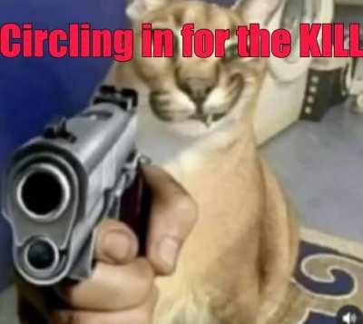 Floppa Friday Special: Floppa of Everything.