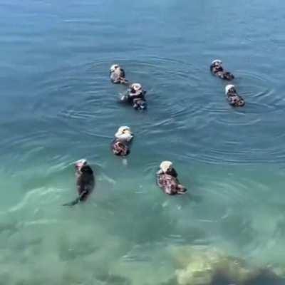 Chilling on Sunday be like..