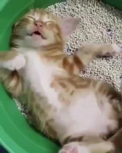 mOrtaLLy wOunDeD sOLdiER iN tHe TreNCh DrAwINg LaST bReaTh cAptURed oN cAmeRa