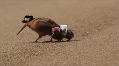 Ｗａｌｋ Ｌｉｋｅ Ａｎ Ｅｇｙｐｔｉａｎ