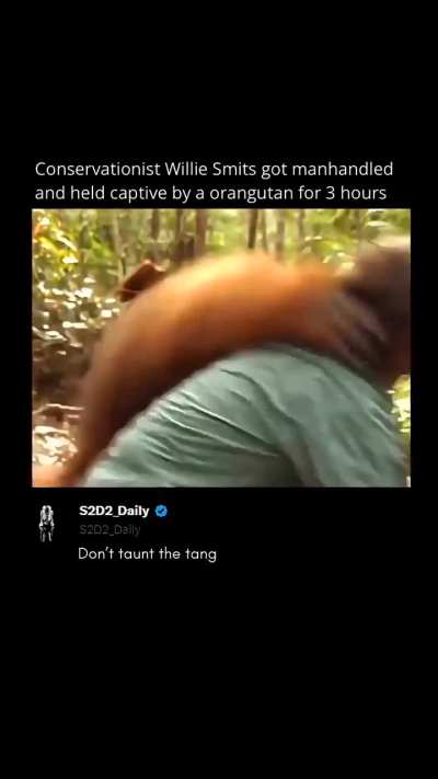 The strength of this orangutan