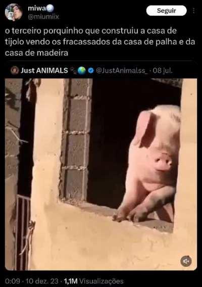 🐖