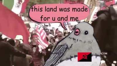 Anarchy goes fucking hard