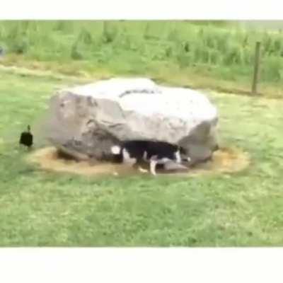 Around the rock 💢