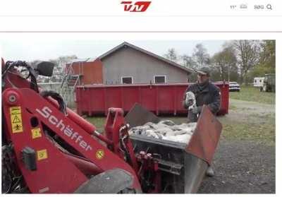 I Nordjylland er der stadig tid til minkkys trods corona