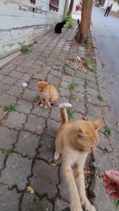 my first trip to Istanbul