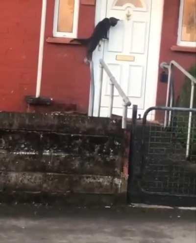 Touch tha door knocker