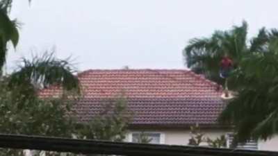 Spiderman, Spiderman, power washing with Spiderman