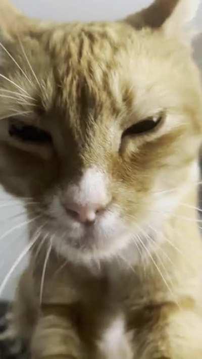 Poppy mirin while kneading me