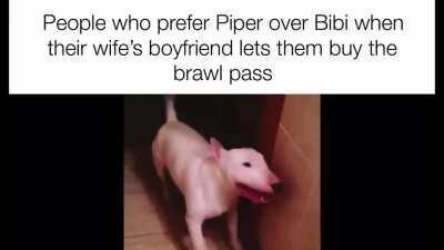 Stup*d piper lovers xddddd 😁🤏🏿🤏🏿🤏🏿🕋