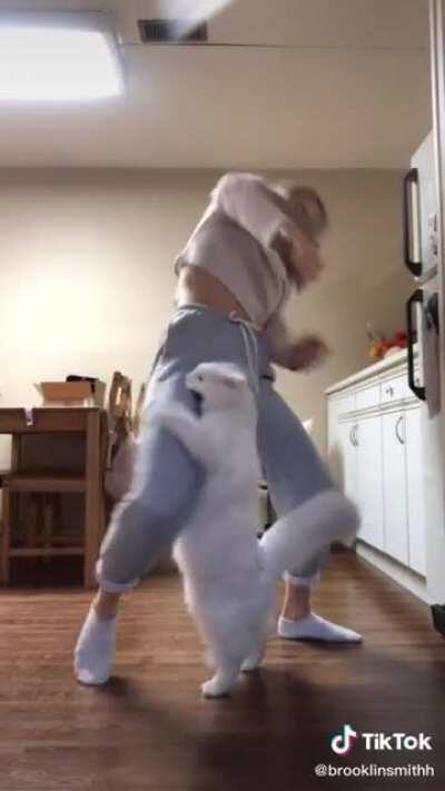 Based catcel patrols Tik Tok thot