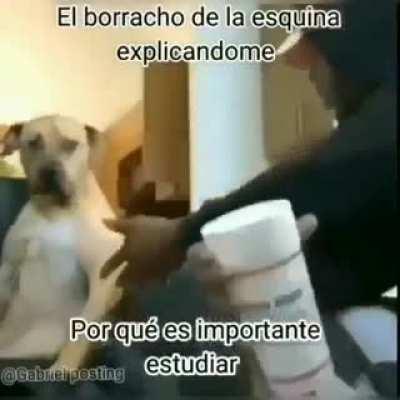 BeelcitosMemes - Video #2198