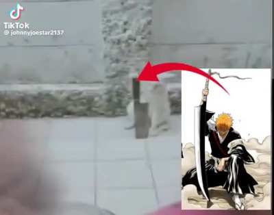 es que la gata con influencia